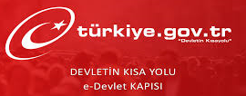 edevlet